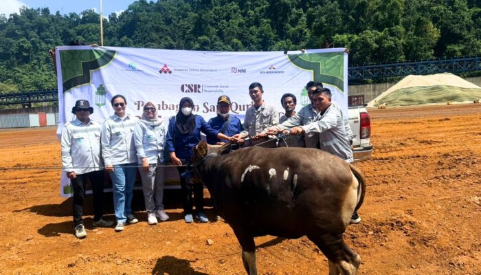 Jelang Idul Adha, PT GNI dan Tenant Kawasan Industri Salurkan Sapi Kurban
