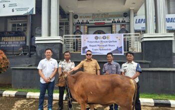 Trinusa Group Salurkan Puluhan Hewan Kurban di Morowali Utara hingga Kota Palu
