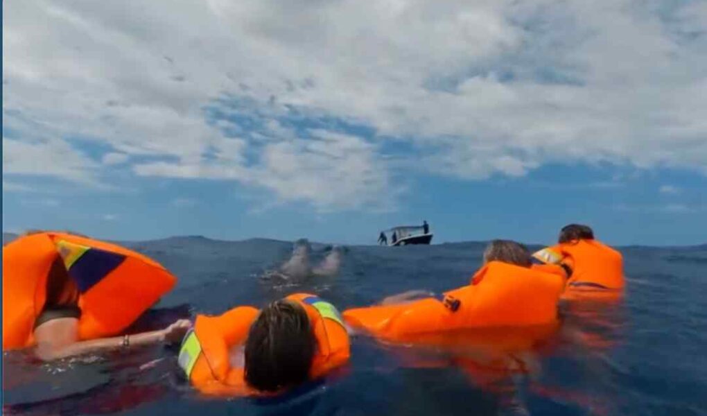 Viral! Ini Kata ABK Speedboat yang Tenggelam di Teluk Tomini: Nakhoda Berenang ke Rumpon Cari Pertolongan